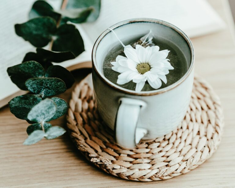 skróty klawiszowe Canva, projektowelove,