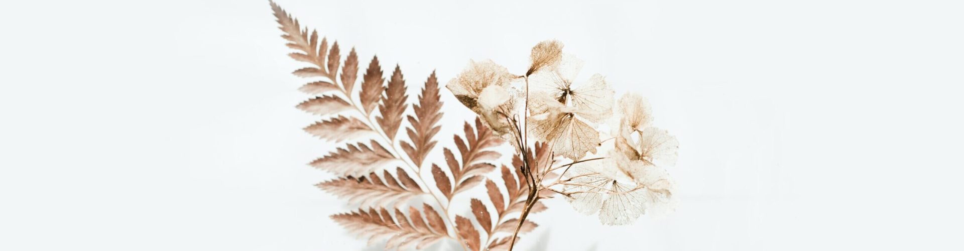 blog projektowelove kasia utrata